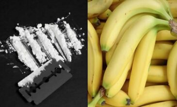Τσεχία: Μισό τόνο κοκαΐνης μέσα σε φορτία μπανάνας που κατέληξαν σε σουπερμάρκετ κατέσχεσε η αστυνομία
