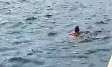 Θεσσαλονίκη: Τουρίστας κολυμπούσε δίπλα σε νεκρά ποντίκια στον Θερμαϊκό – Δείτε το βίντεο