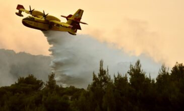 Αχαΐα: Ξέσπασε φωτιά σε δασική έκταση στην περιοχή Μάνεσι Καλαβρύτων