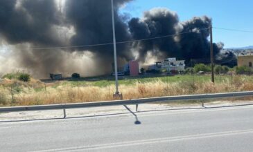 Συναγερμός στο Ηράκλειο: Φωτιά σε αποθήκη ξυλείας – Δείτε βίντεο με τις φλόγες
