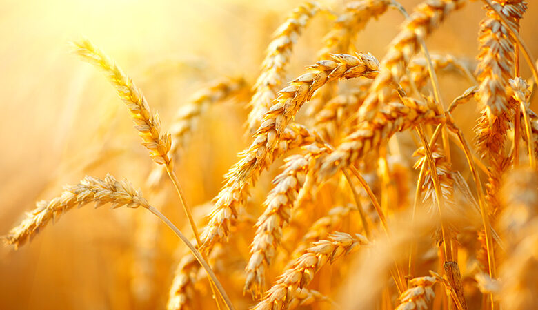 Η Ουάσινγκτον χαιρετίζει τη συμφωνία μεταξύ Ρωσίας και Ουκρανίας για την εξαγωγή σιτηρών
