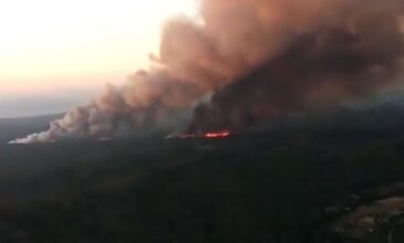 Τουρκία: Έβαλε φωτιά στο δάσος της Μαρμαρίδας επειδή καυγάδισε με συγγενείς του