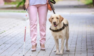 Καταδίκη ταξιτζή που αρνήθηκε να επιβιβάσει τυφλή με σκύλο – οδηγό