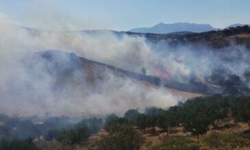 Μεγάλη πυρκαγιά σε εξέλιξη σε αγροτική έκταση στην Κρήτη