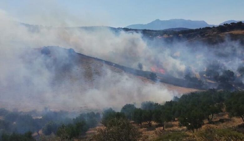 Μεγάλη πυρκαγιά σε εξέλιξη σε αγροτική έκταση στην Κρήτη