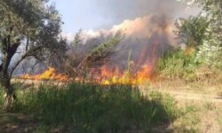 Μεγάλη φωτιά σε αγροτική έκταση στην Αμαλιάδα