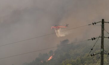 Φωτιά στην Ηλεία: Νέες αναζωπυρώσεις – Εντολή εκκένωσης του χωριού Λάτα