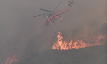Πύρινη λαίλαπα με 52 δασικές πυρκαγιές – Πολύ υψηλός ο κίνδυνος και αύριο Τρίτη