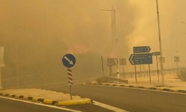 Μεγάλη πυρκαγιά στην Άμφισσα: Μαίνεται ανεξέλεγκτη σε πολλά μέτωπα