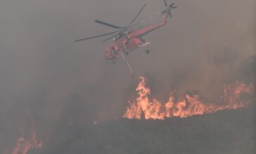 Φωτιά στην Ηλεία: Ολονύχτια μάχη με τις φλόγες – Εκκενώθηκαν οικισμοί