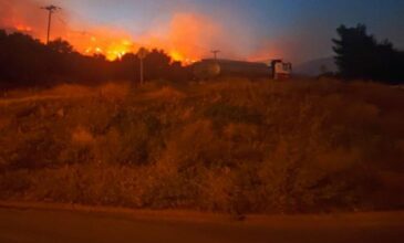 Μεγάλη φωτιά στην Άμφισσα: Εκκενώνεται η Βόρεια Ιτέα – «Απειλούνται εργοστάσια», λέει ο πρόεδρος της κοινότητας