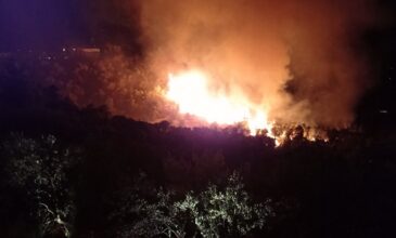 Πυρκαγιά στο Κρανίδι Αργολίδας: Δύο συλλήψεις για την πρόκληση της – Ομολόγησαν οι δράστες