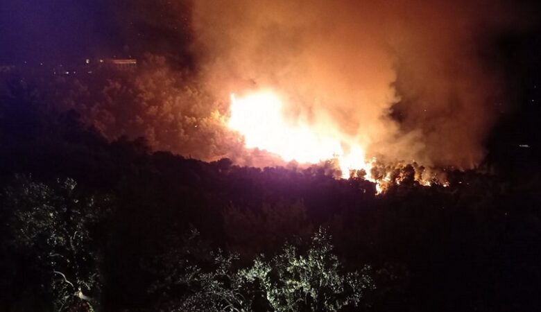 Πυρκαγιά στο Κρανίδι Αργολίδας: Δύο συλλήψεις για την πρόκληση της – Ομολόγησαν οι δράστες