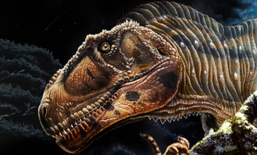 Ανακαλύφθηκε στην Αργεντινή ο νέος γιγάντιος δεινόσαυρος Meraxes με μικρά χέρια όπως ο Τυραννόσαυρος