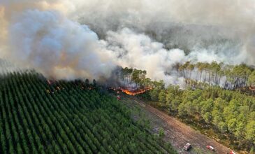 Ακραίος καύσωνας και μεγάλες δασικές πυρκαγιές σε Πορτογαλία, Ισπανία και Γαλλία