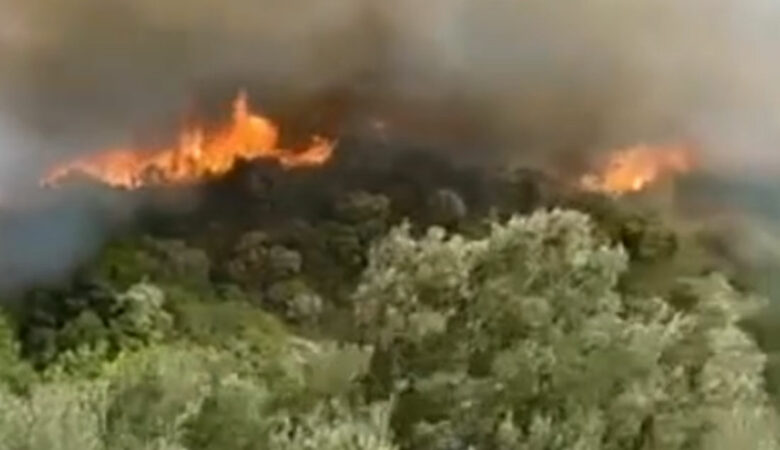 Φωτιά σε δασική έκταση στην Ελασσόνα