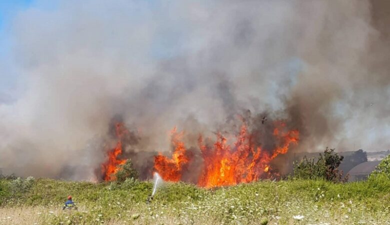 Πυρκαγιά κοντά σε κατοικίες και θερμοκήπια στο Νεοχώρι Πρέβεζας