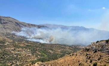 Πύρινη κόλαση στο Ρέθυμνο: Νέα πυρκαγιά στον Κόρακα Ροδάκινου