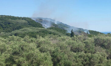 Κέρκυρα: Σε ύφεση η πυρκαγιά στο νότιο τμήμα του νησιού – Κάηκε ελαιώνας και δεκάδες στρέμματα δάσους