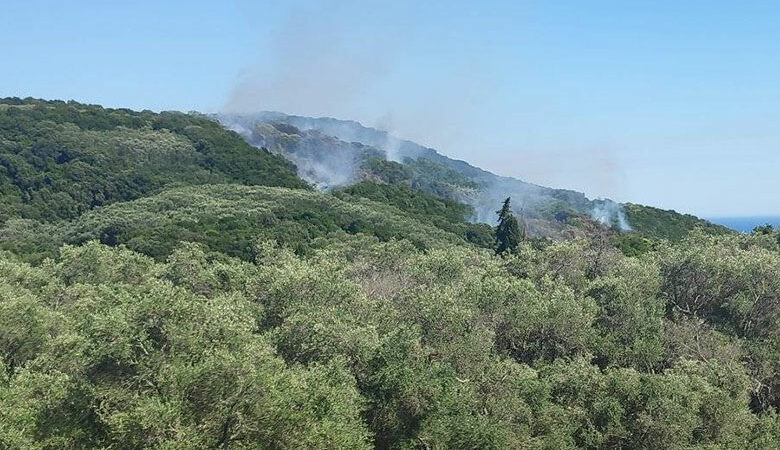 Κέρκυρα: Σε ύφεση η πυρκαγιά στο νότιο τμήμα του νησιού – Κάηκε ελαιώνας και δεκάδες στρέμματα δάσους
