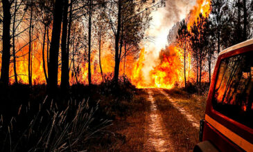 Ακραίες θερμοκρασίες και δασικές πυρκαγιές στη δυτική Ευρώπη