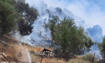 Φωτιά στο Ρέθυμνο: «Μάχη» με συνεχείς αναζωπυρώσεις – Καλύτερη η εικόνα στον δήμο Αγίου Βασιλείου