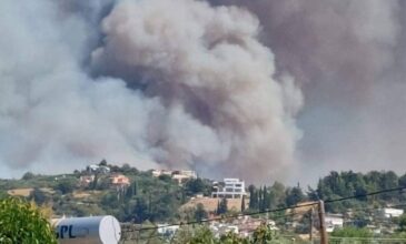 «Μάχη» με τα πύρινα μέτωπα σε Ρέθυμνο και Αχαΐα – 71 δασικές πυρκαγιές εκδηλώθηκαν σε 24 ώρες