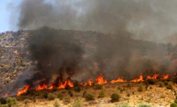 Φωτιά στο Ρέθυμνο: Εφιαλτική βραδιά – Εκκενώθηκαν έξι οικισμοί – Συνεχίζεται η «μάχη» στα μέτωπα