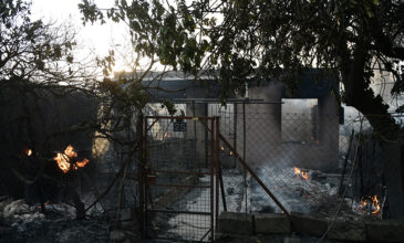 Μεγάλη φωτιά στην Πεντέλη: Έχουν ήδη καεί σπίτια εδώ, λέει ο δήμαρχος Παλλήνης