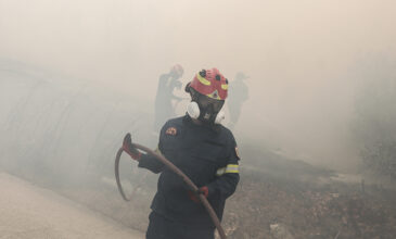 Ναύπακτος: Οριοθετήθηκε η φωτιά στην περιοχή Αφροξυλιά