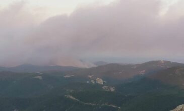 Φωτιά στον Έβρο: Υπεράνθρωπες προσπάθειες για να ανακοπεί η περαιτέρω εξάπλωση στο δάσος της Δαδιάς