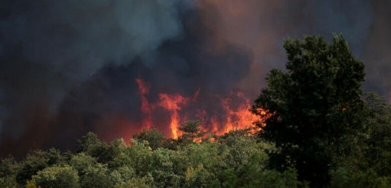 Ιταλία – Καύσωνας: Συναγερμός σε 16 πόλεις από τις πυρκαγιές