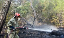 Ροδόπη: Φωτιά σε δασική έκταση στον Ίασμο