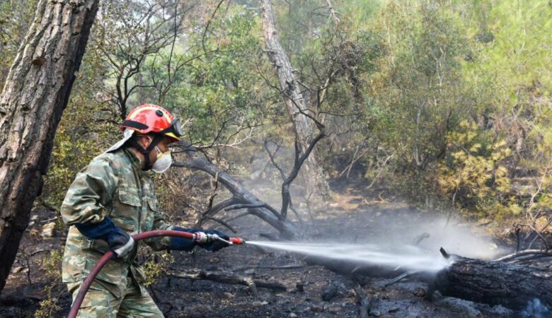 Ροδόπη: Φωτιά σε δασική έκταση στον Ίασμο