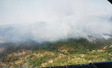 Φωτιά στον Έβρο: Δύσκολη η κατάσταση στη Δαδιά – Υλοτόμοι κόβουν δέντρα για αντιπυρικές ζώνες