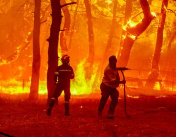 Το 2023 ήταν μια χρονιά καταστροφικών δασικών πυρκαγιών με εκατοντάδες νεκρούς