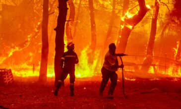 Ζερεφός: Απαιτείται πανευρωπαϊκή λύση για την αντιμετώπιση των πυρκαγιών
