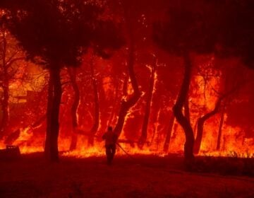 Τουρκία: Φονικές πυρκαγιές με πέντε νεκρούς και δεκάδες τραυματίες