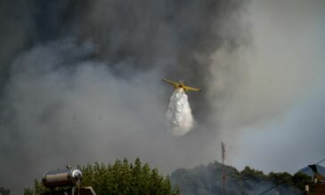 Πολλά πύρινα μέτωπα: Μαίνονται οι φωτιές σε Ηλεία, Έβρο και Λέσβο – Η τελευταία ενημέρωση