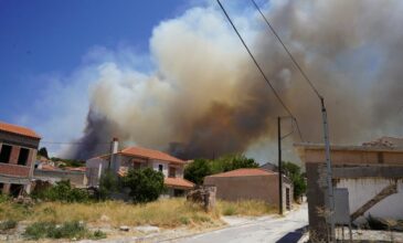 Φωτιά στη Μυτιλήνη: Εκκενώνεται προληπτικά το χωριό Βρίσα – Πρόβλημα οι αναζωπυρώσεις