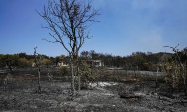Φωτιά στη Μυτιλήνη: Εκκενώνεται και το χωριό Σταυρός – Συνεχίζεται η μάχη με τις αναζωπυρώσεις
