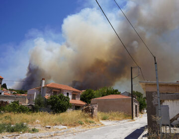 Προφυλακιστέος ο 57χρονος καθ’ ομολογίαν εμπρηστής για 4 φωτιές στη Δυτική Λέσβο