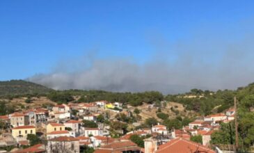 Φωτιά στη Λέσβο: Επιστρέφουν στα σπίτια τους οι κάτοικοι στα Βατερά