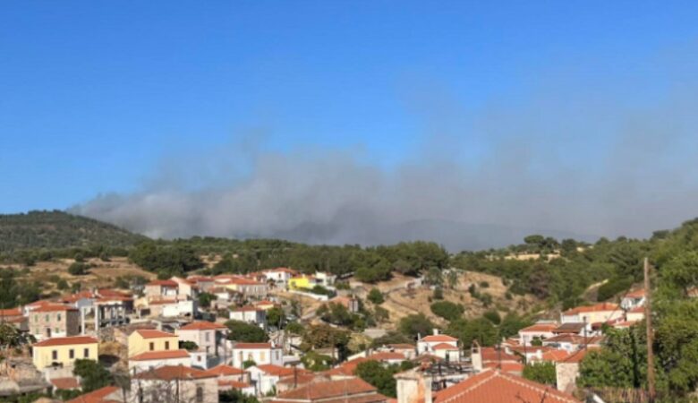 Φωτιά στη Λέσβο: Επιστρέφουν στα σπίτια τους οι κάτοικοι στα Βατερά