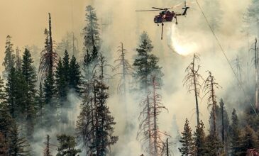 ΗΠΑ – Καλιφόρνια: Τουλάχιστον 2.500 πυροσβέστες προσπαθούν να σβήσουν πυρκαγιά κοντά στο Εθνικό Πάρκο Γιοσέμιτι