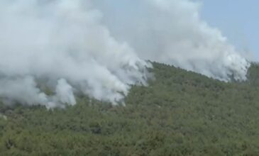 Μαίνεται η μεγάλη φωτιά στο δάσος της Δαδιάς – 89 δασικές πυρκαγιές τις τελευταίες 48 ώρες – Επτά συλλήψεις για εμπρησμό