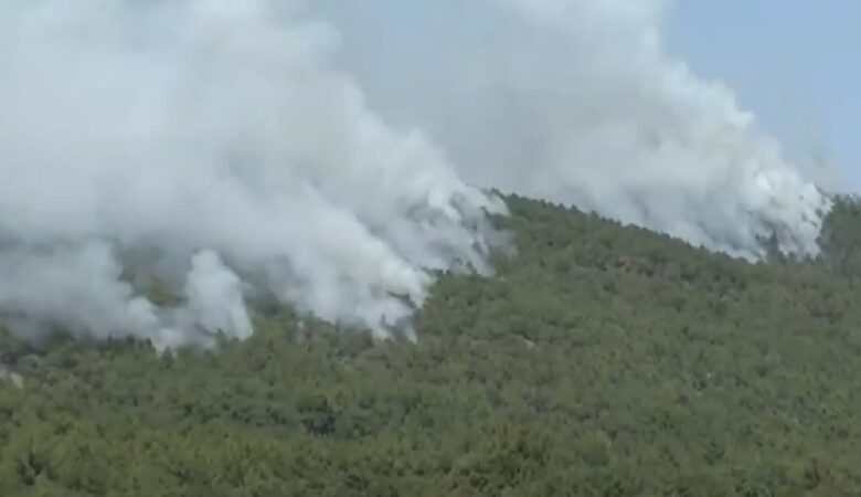 Μαίνεται η μεγάλη φωτιά στο δάσος της Δαδιάς – 89 δασικές πυρκαγιές τις τελευταίες 48 ώρες – Επτά συλλήψεις για εμπρησμό