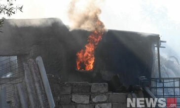 Φωτιά στην Μάνδρα: Συναγερμός στην Πυροσβεστική – Εκκενώνονται οι οικισμοί Νέου Πόντου και Νέας Ζωής