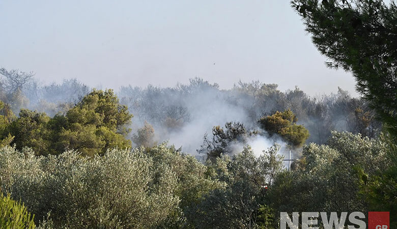 Φωτιά στην Μάνδρα: Προσήχθη 55χρονη – Υπό μερικό έλεγχο το πύρινο μέτωπο