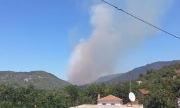 Φωτιά στη Λέσβο: Νέα μεγάλη αναζωπύρωση στην περιοχή της Βρίσας – Εντολή εκκένωσης του χωριού